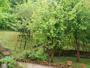 Via Tortona 6 • Spineto Scrivia (AL)