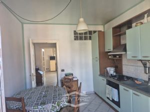 PER VISITE O INFORMAZIONI CONTATTARE 011/6677831...