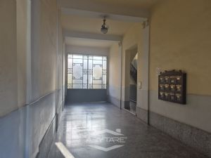 PER VISITE O INFORMAZIONI CONTATTARE 011/6677831...