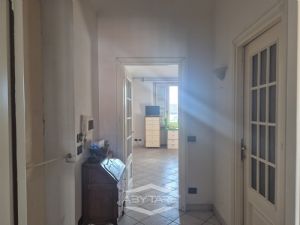 PER VISITE O INFORMAZIONI CONTATTARE 011/6677831...