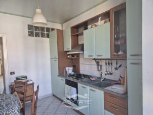 PER VISITE O INFORMAZIONI CONTATTARE 011/6677831...