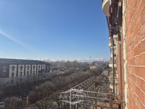 PER VISITE O INFORMAZIONI CONTATTARE 011/6677831...