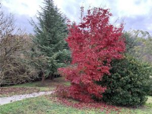 VILLA CON PISCINA E CAMPO DA TENNIS A POCHI MINUTI DA ASTI