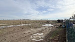 Terreno industriale di 4000 mq con magazzino.