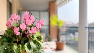 La tua casa Abytare..
Alcune immagini di questo an...