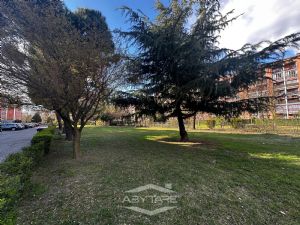 Appartamento con salone doppio Via del Pascolo Nichelino