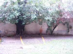 GRAZIOSA MANSARDA IN LOCAZIONE IN ZONA CENTRALE