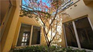 Appartamento unico con giardino pensile privato al piano