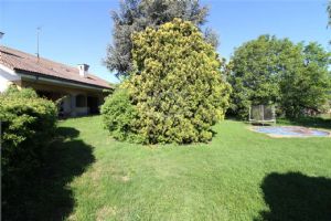 ORBASSANO IN VENDITA VILLA UNI-BIFAMILIARE LIBERA SUBITO