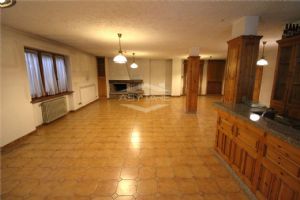ORBASSANO IN VENDITA VILLA UNI-BIFAMILIARE LIBERA SUBITO