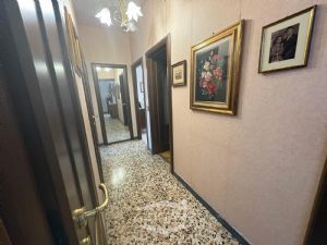 5 LOCALI IN ZONA MIRAFIORI SUD