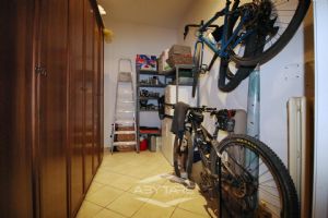 ???????????????? ???????????????????????????????????????????????????? ???????????????????????? ????????????????????????