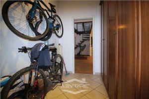 ???????????????? ???????????????????????????????????????????????????? ???????????????????????? ????????????????????????