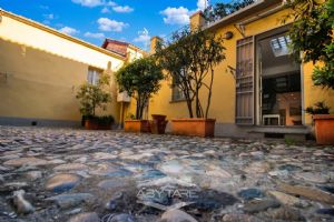 ???????????????? ???????????????????????????????????????????????????? ???????????????????????? ????????????????????????