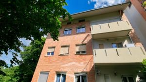Elegante appartamento con mansarda Torino precollina