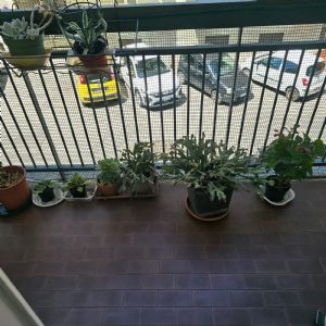 Via Vittoria 42