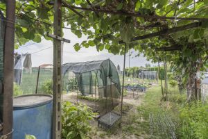 Villa indipendente Cumiana