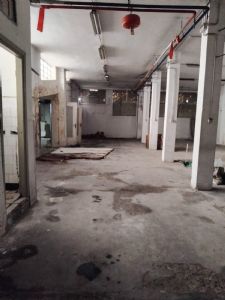 Via Boccardo n° 6