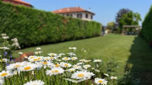 Casa indipendente su tre lati con giardino e autorimessa tripla