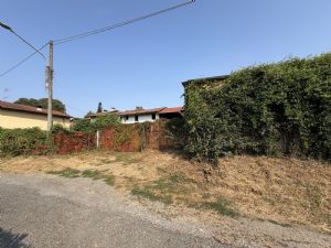 Rustico con terreno