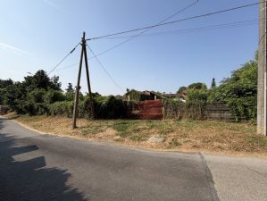 Rustico con terreno