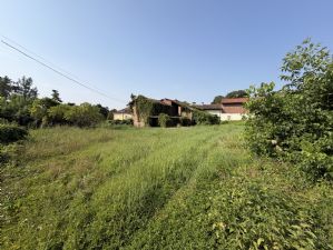 Rustico con terreno