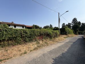 Rustico con terreno