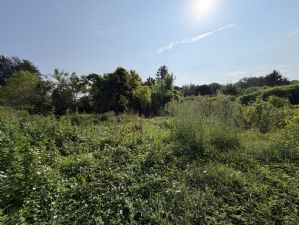Rustico con terreno
