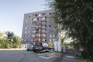 Pentalocale in Testona