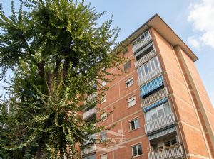 Luminoso quadrilocale per famiglie Mirafiori Sud